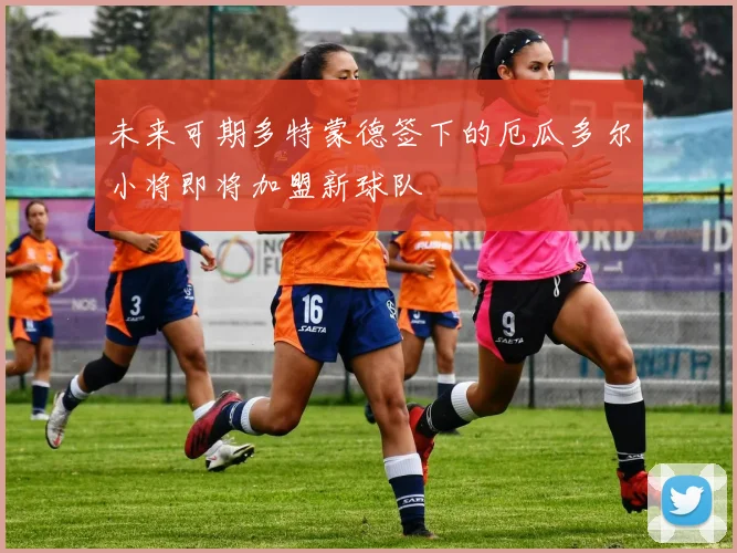 未来可期多特蒙德签下的厄瓜多尔小将即将加盟新球队