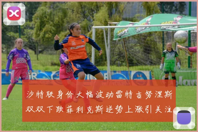沙特联身价大幅波动雷特吉努涅斯双双下跌菲利克斯逆势上涨引关注
