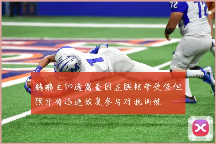鹈鹕主帅透露奎因左腕韧带受伤但预计将迅速恢复参与对抗训练